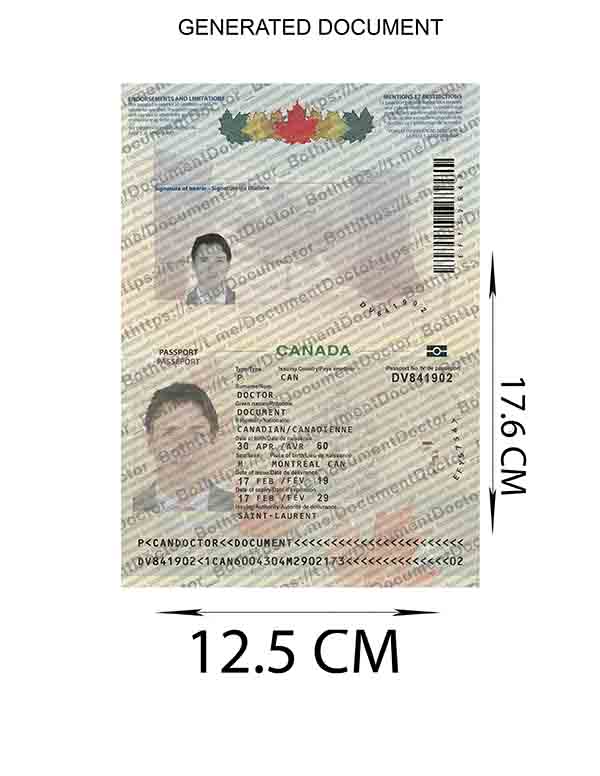 The generated document with 12.5 cm by 17.6 cm dimensions marked